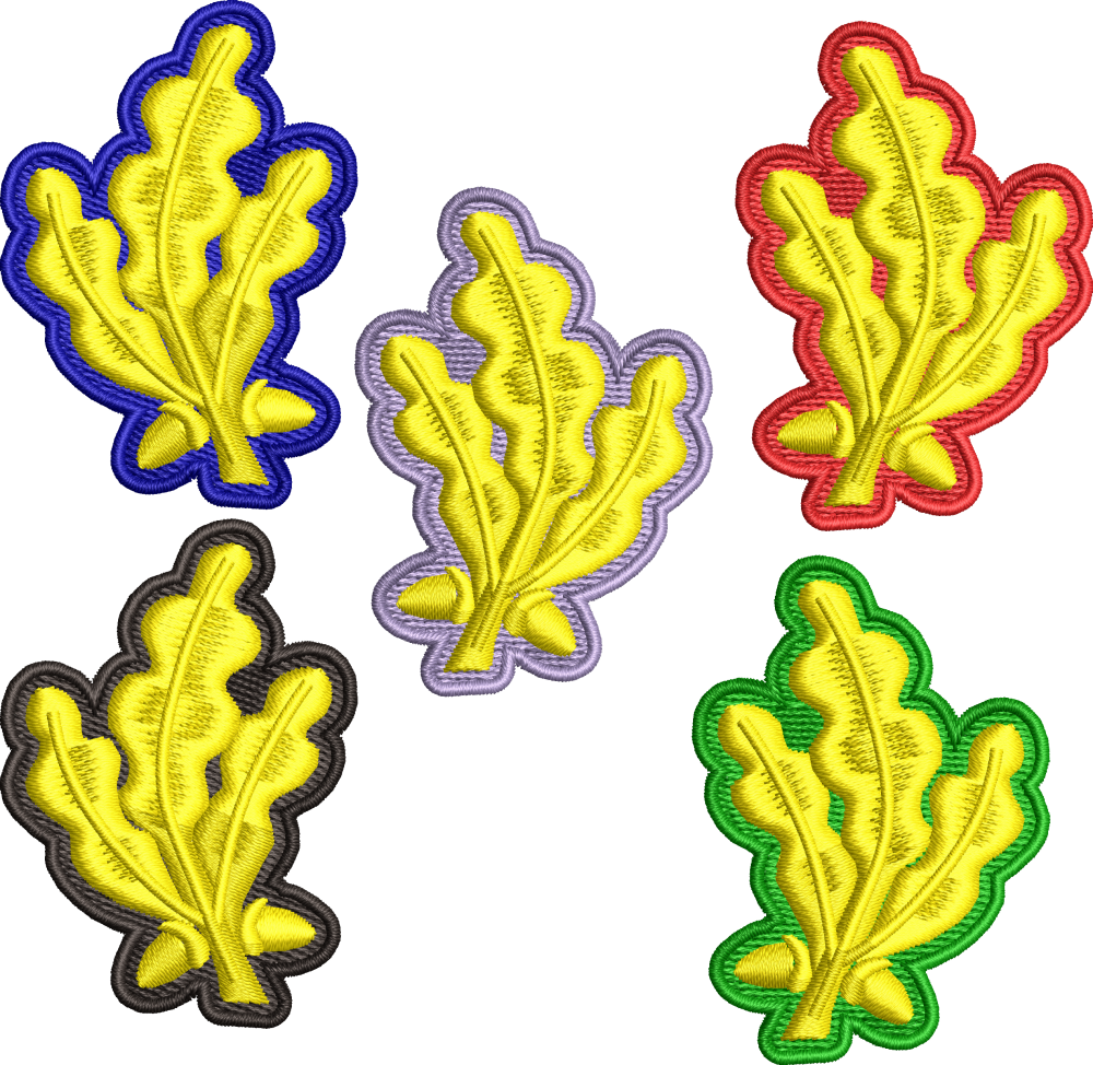 Petlite costum oras OFITERI - Ministerul Apararii Nationale